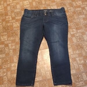Women's Blue Jeans Pull On Lee Riders Size 16p